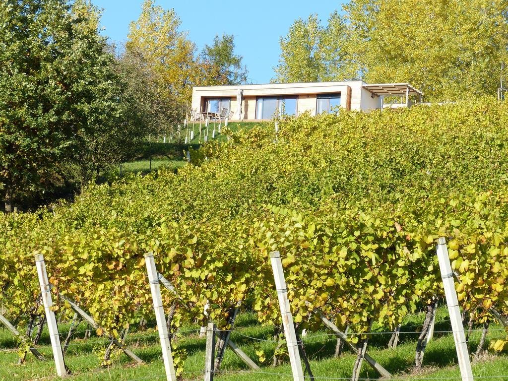 Weingarten-Resort Unterlamm Loipersdorf - Adults Only Luaran gambar